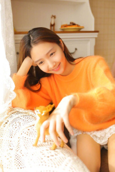 岳婿合体内容介绍